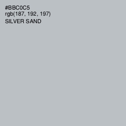 #BBC0C5 - Silver Sand Color Image